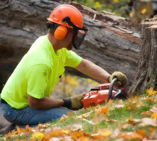 tree services Island